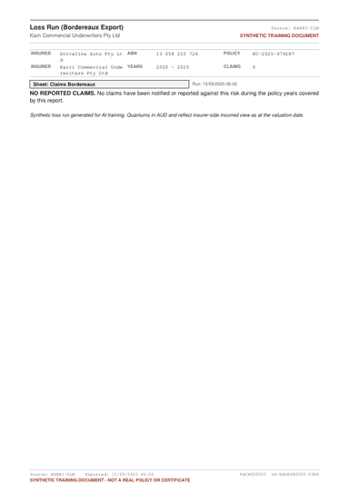 Synthetic insurance loss run report specimen