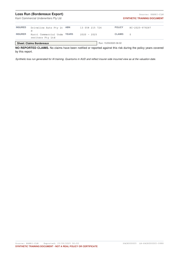 Synthetic insurance loss run report specimen